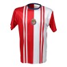 PLAYERA RAYADA CUELLO AZUL ESCUDO CHIVAS